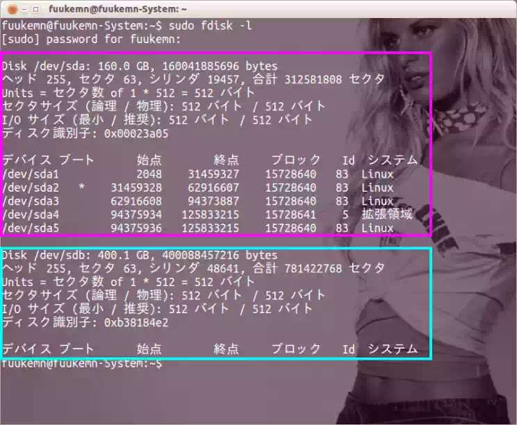 fdiskスクリーンショットの画像