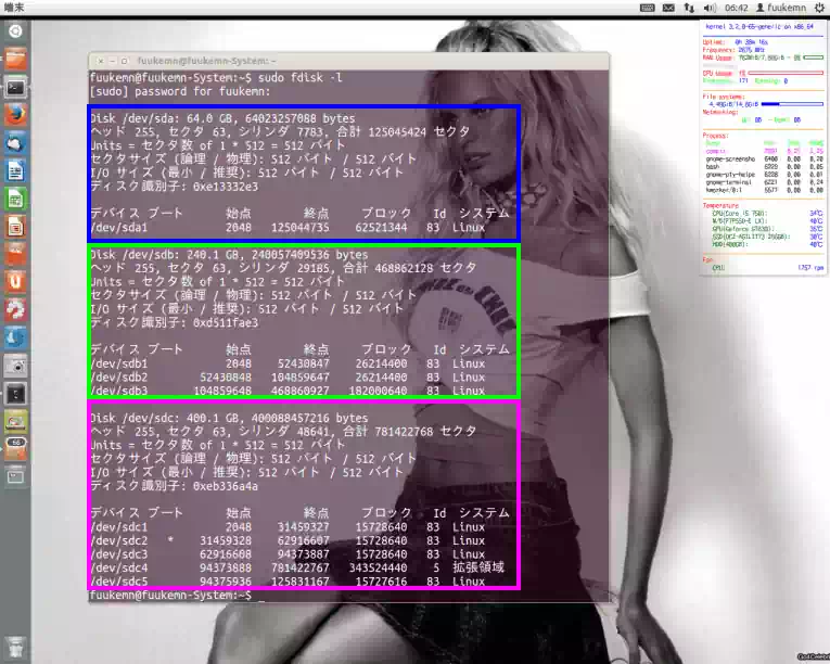 fdiskスクリーンショットの画像２