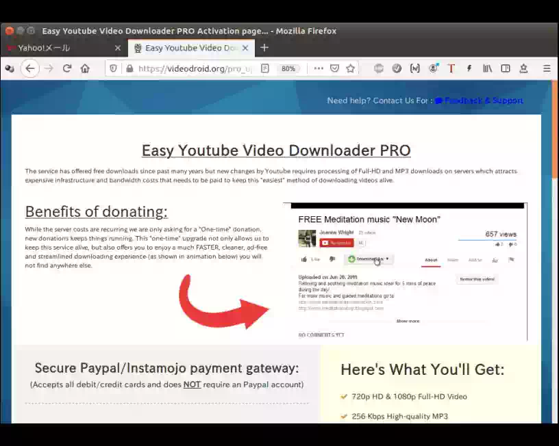 Easy Youtube Video Downloader PROライセンスの購入ページ