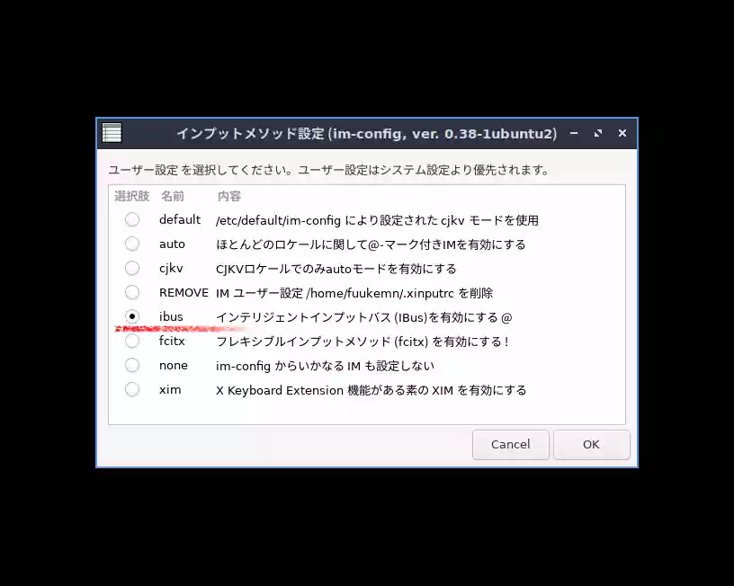 ibus にチェックを入れている画像