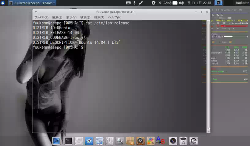 Xubuntu 14.04LTSの画像