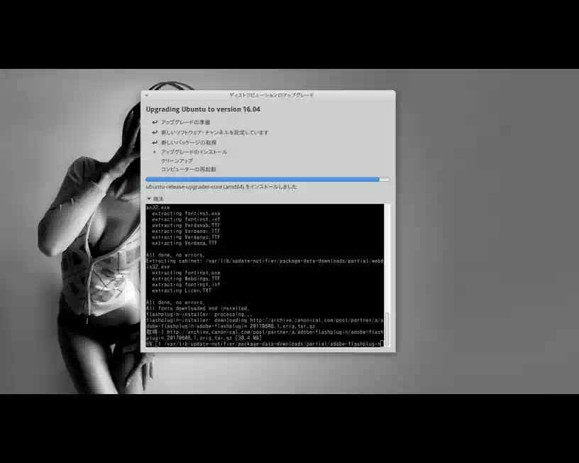 アップグレードのインストール中の画像