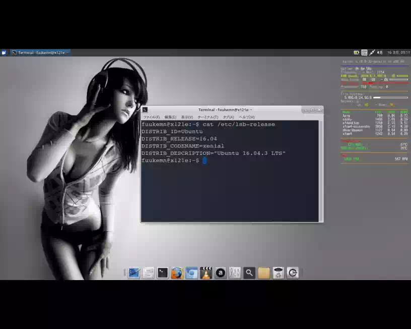 16.04LTSカスタマイズ後のデスクトップの画像