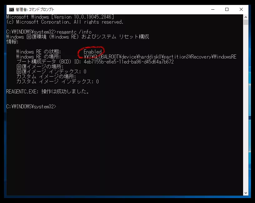 コマンドプロンプト reagentc.exe /info